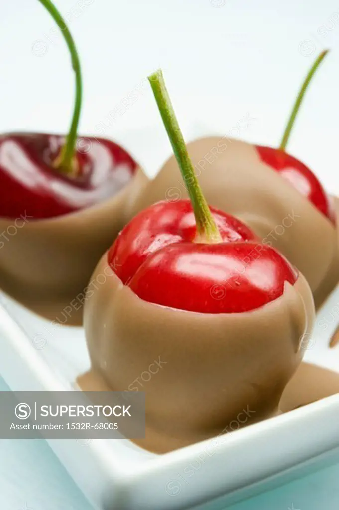 close up of three fresh cherries dipped in milk chocolate on a white square flat ceramic plate