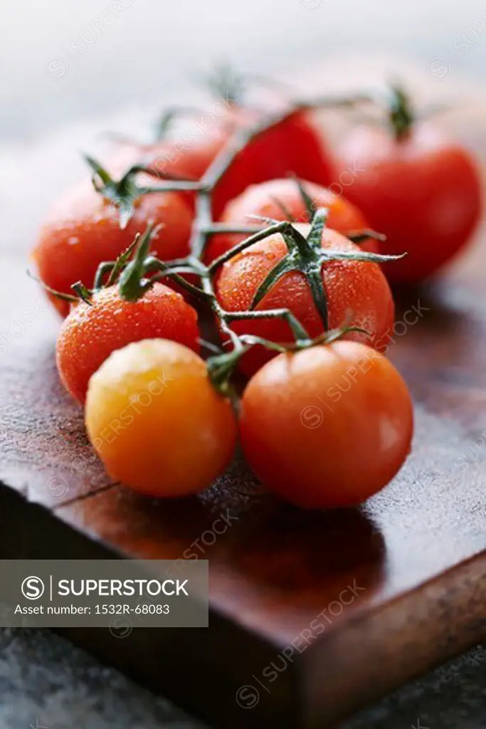 Tomatoes on the vine on a wet wooden board