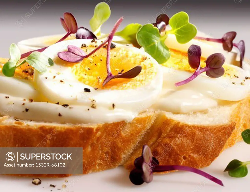 A slice of white bread topped with mayonnaise, egg and cress