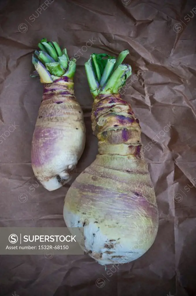 Two Eastham Turnips on Paper