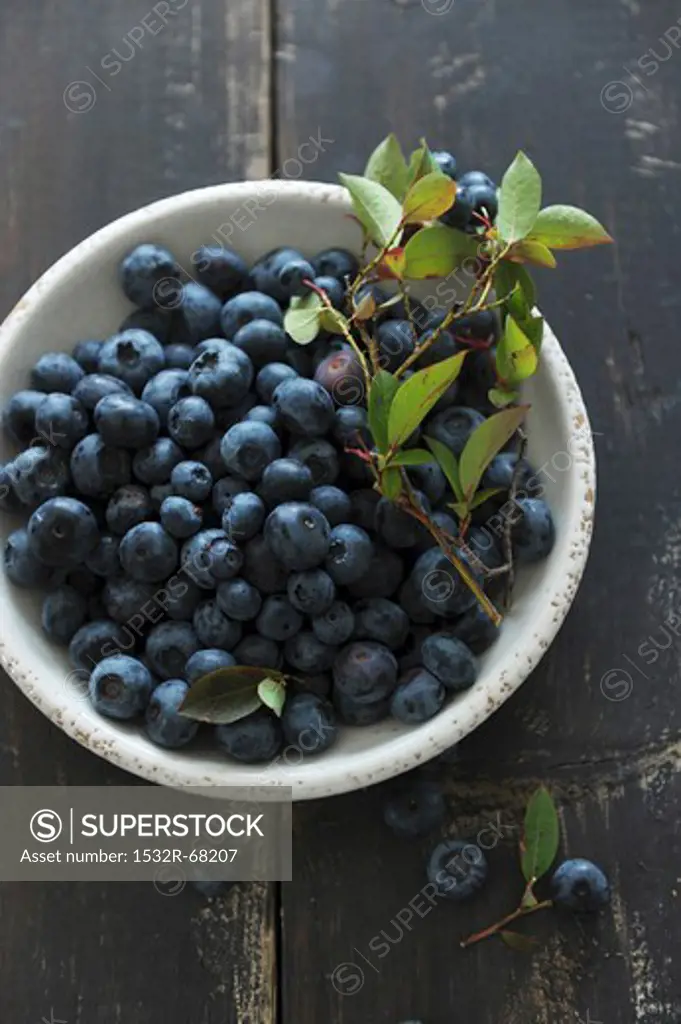 Blueberries with leaves in a bowl