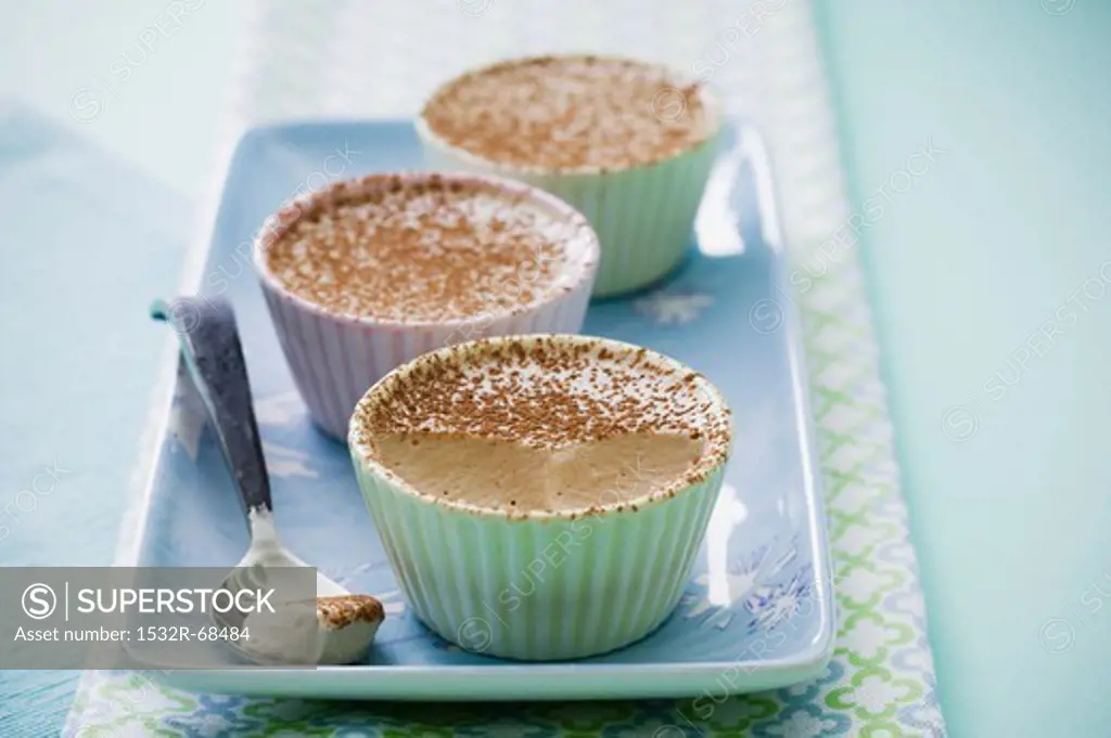Vanilla mousse with cocoa powder (a child's dessert)