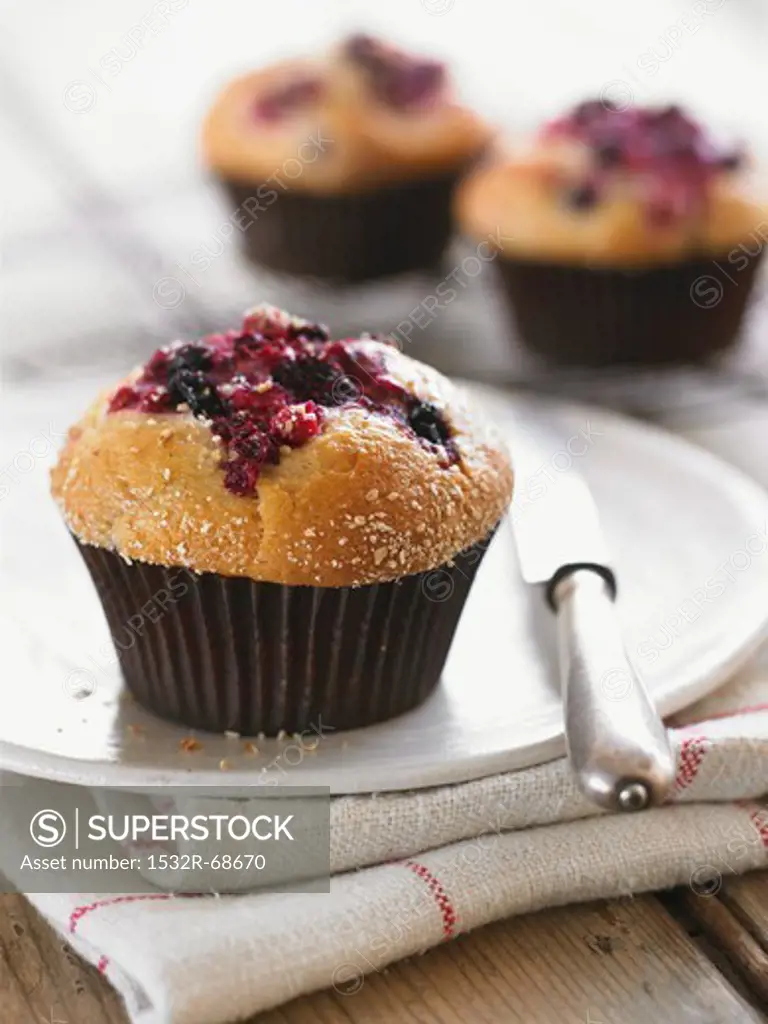 Berry muffins in paper cases