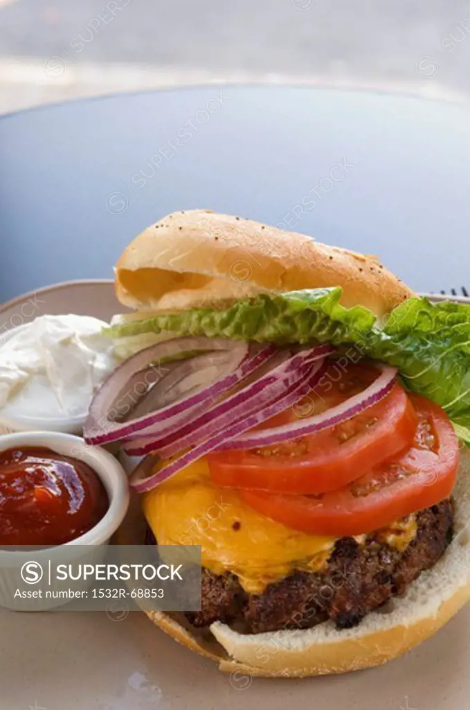 Cheeseburger with onions, tomatoes and lettuce, served with ketchup and mayonnaise