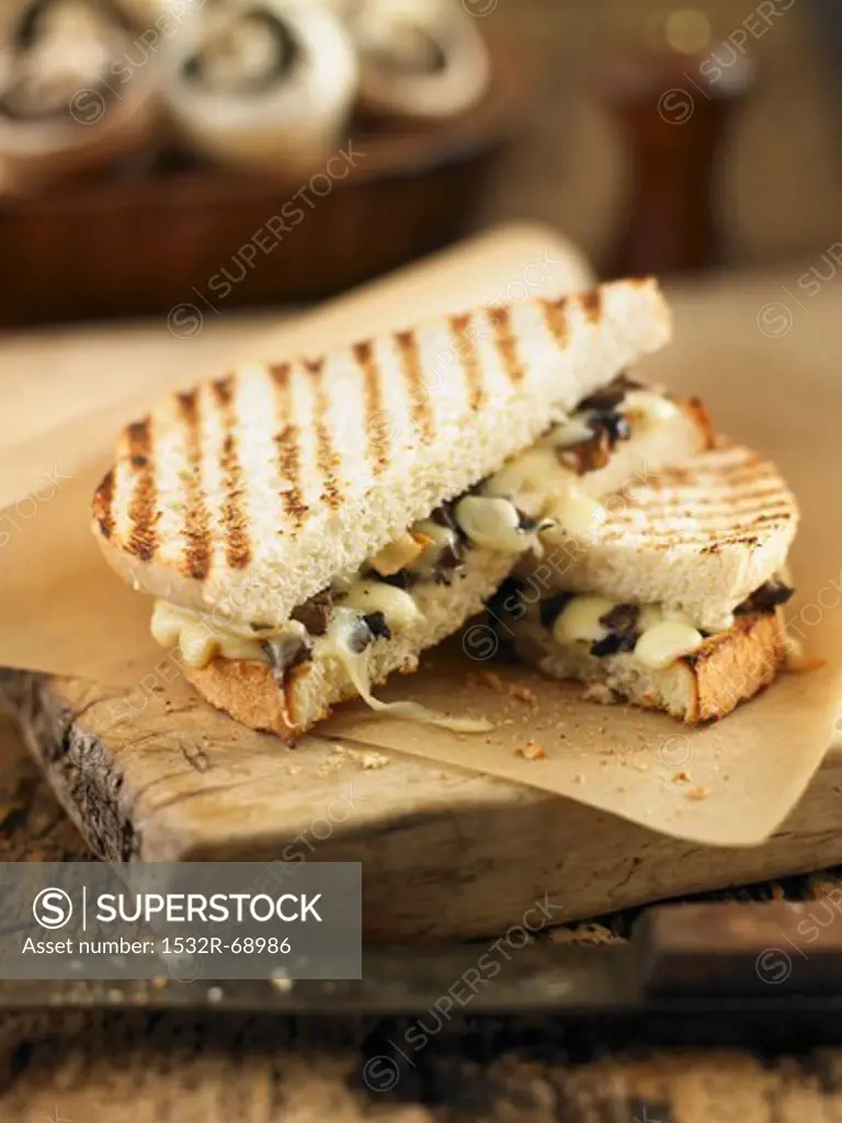 Toasted sandwiches with mushrooms and cheese
