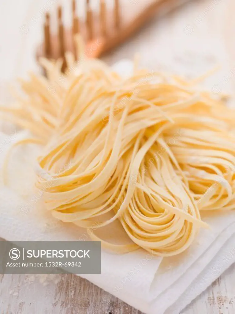 Home-made ribbon pasta on kitchen roll