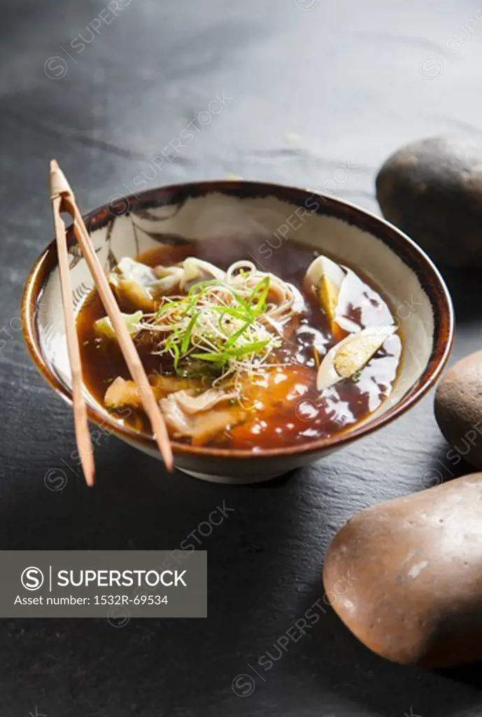 Ramen noodle soup with chicken (Japan)