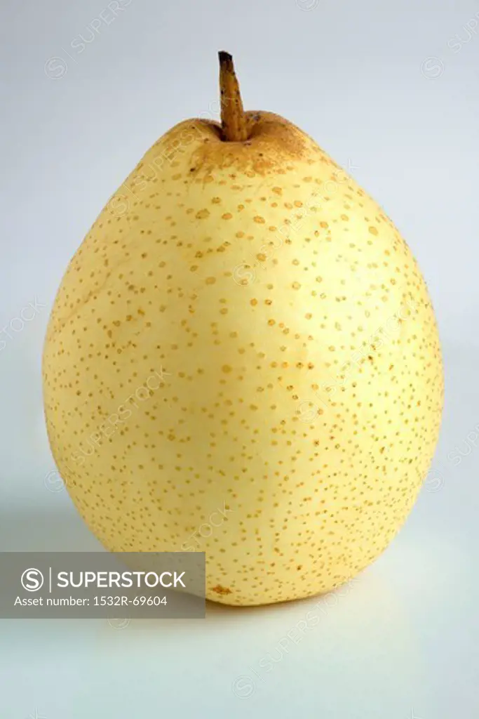 An Asian pear against a white background