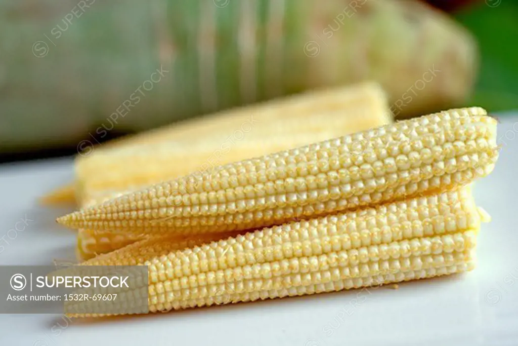 Young, peeled corn cobs
