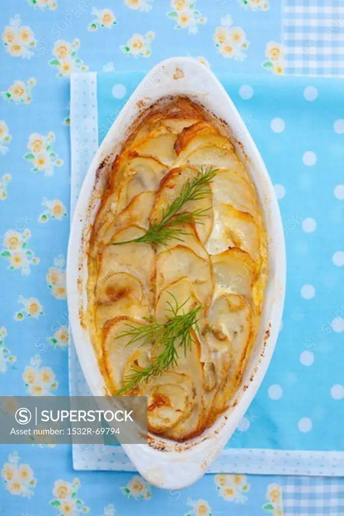 Potato gratin with fennel leaves
