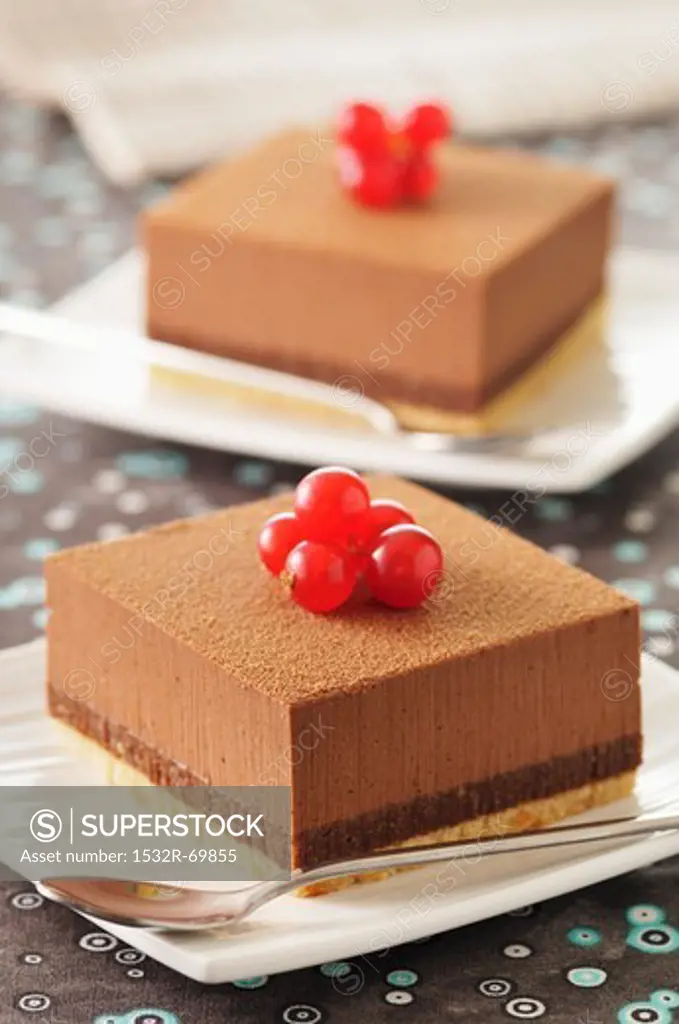 Chocolate slices with redcurrants