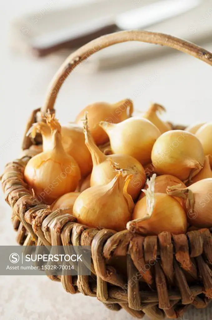 Lots of small onions in a basket