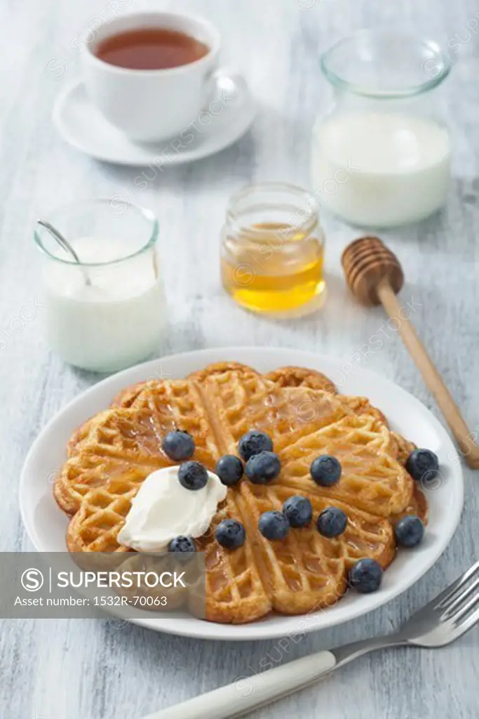 Waffle with blueberries, yogurt and honey