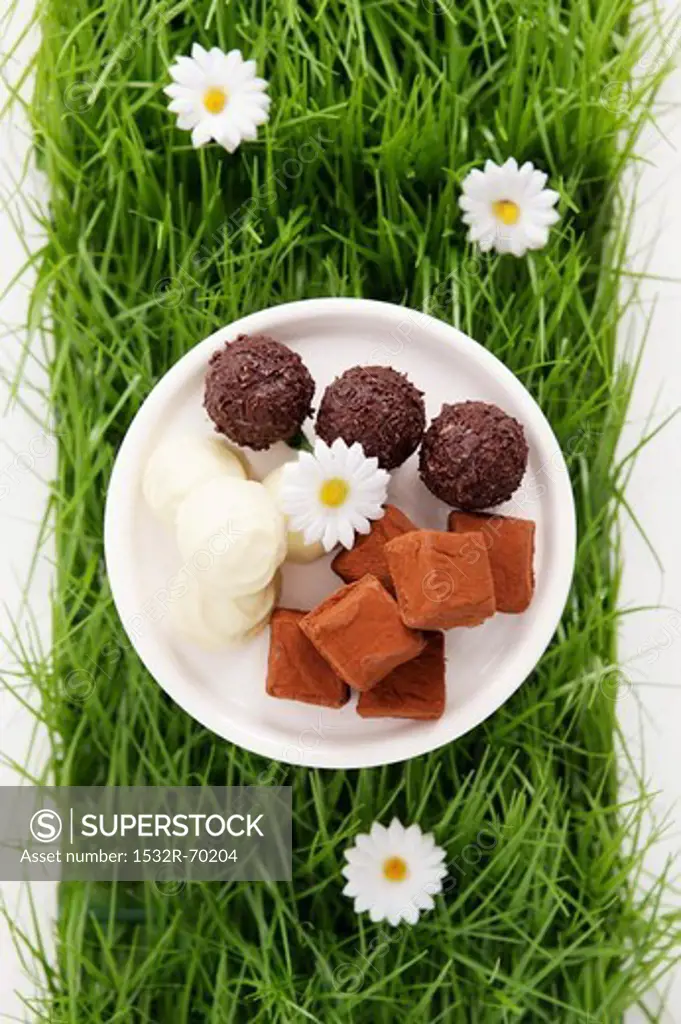 Assorted chocolates in artificial grass