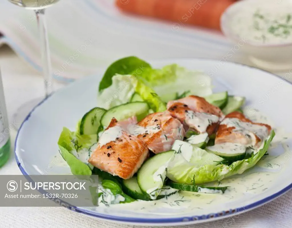 Salmon and cucumber salad with dill yoghurt