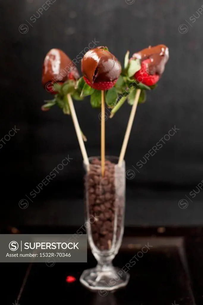 Chocolate Covered Strawberries; Skewered and in a Glass of Chocolate Chips