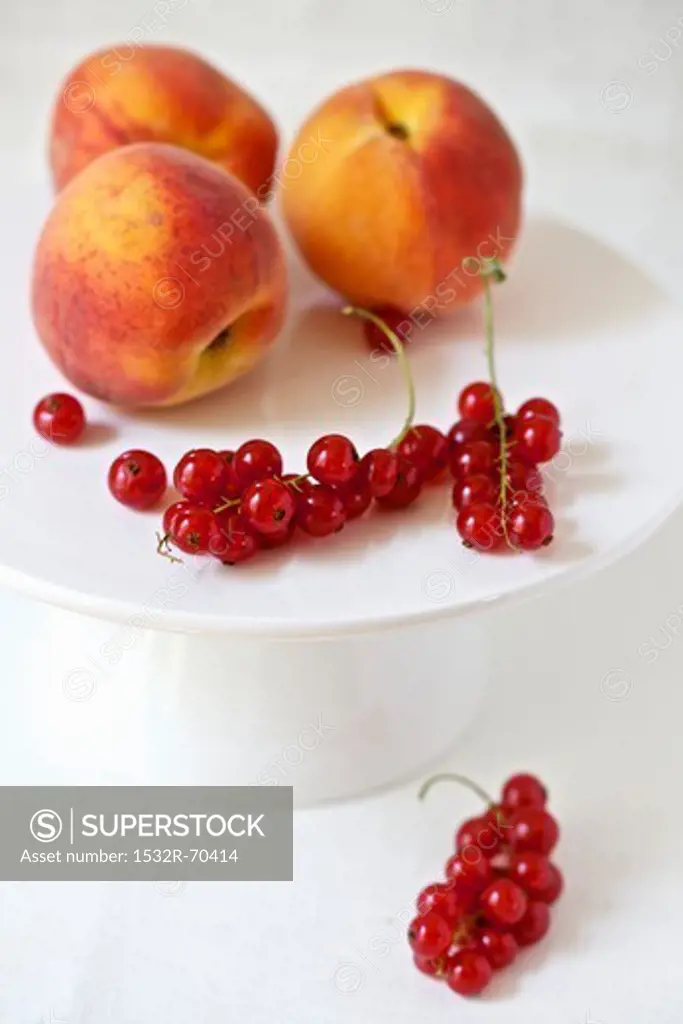 Peaches and Red Currants on a White Pedestal Dish