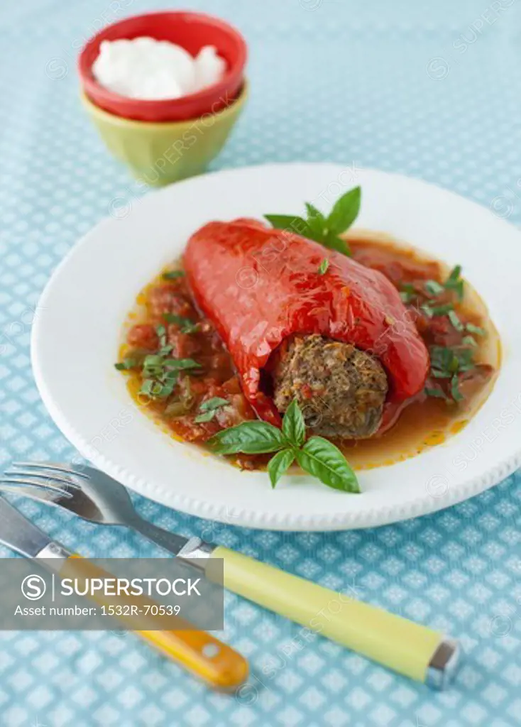 Stuffed Red Bell Pepper in Tomato Basil Sauce on a White Plate