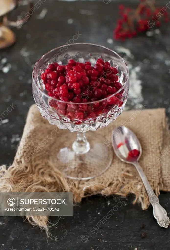 Lingonberries in a Crystal Cup