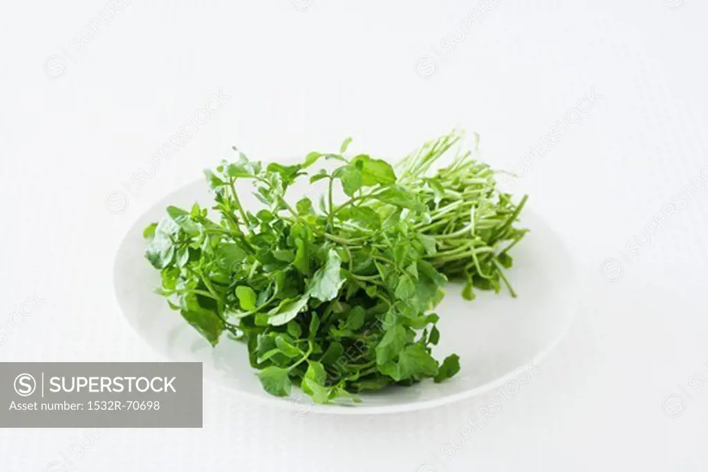 Fresh watercress on a plate against a white background