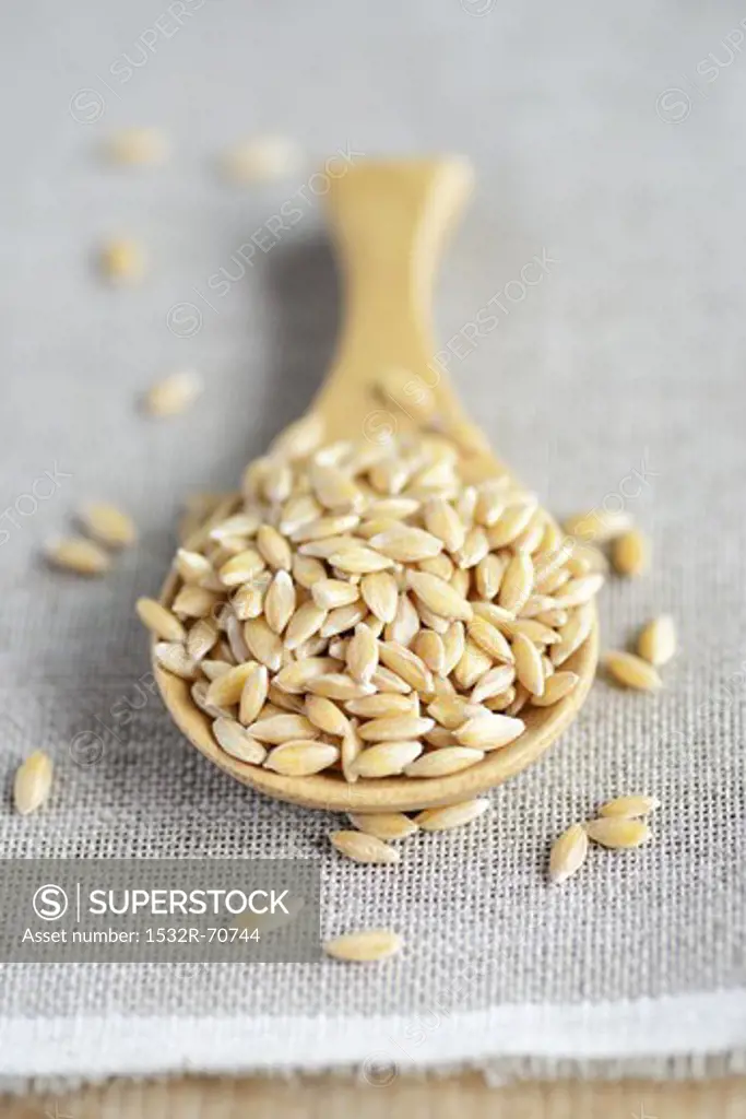 Einkorn wheat on a wooden spoon