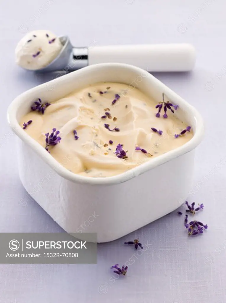Lavender ice cream in a container and in an ice cream scoop
