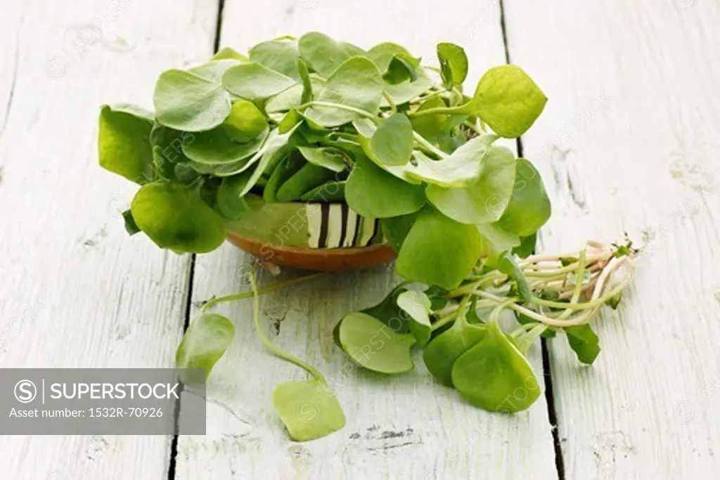 Purslane in a bowl on a wooden surface