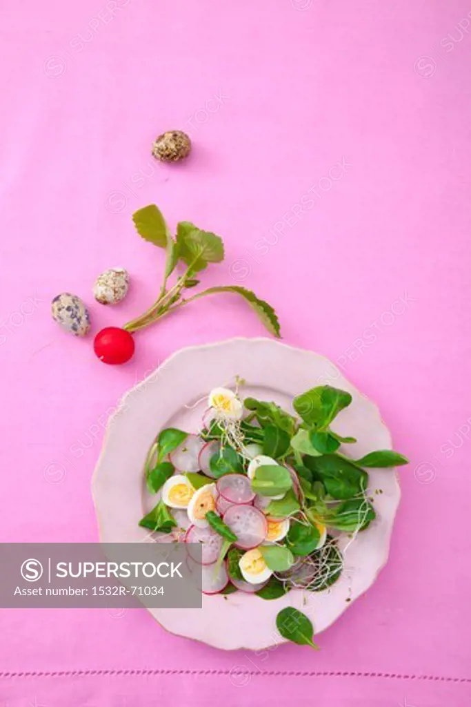 Lamb's lettuce with quail's eggs, radishes and sprouts