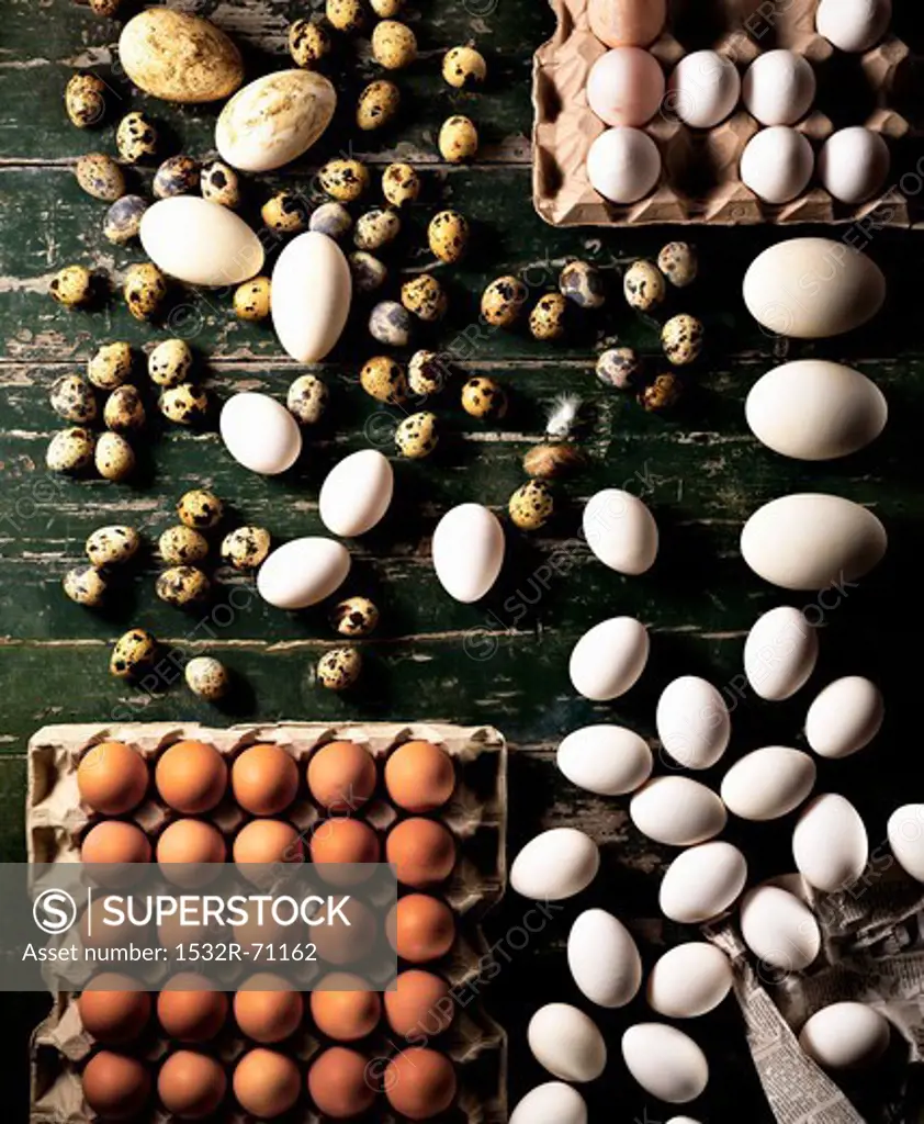 Assorted eggs on a wooden board