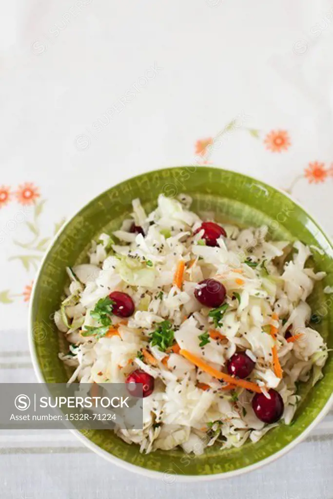 Cole Slaw with Cranberries in a Green Bowl