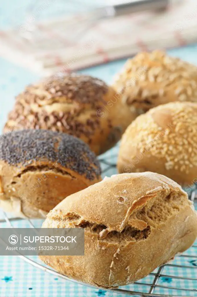 Assorted freshly baked rolls on a cooling rack