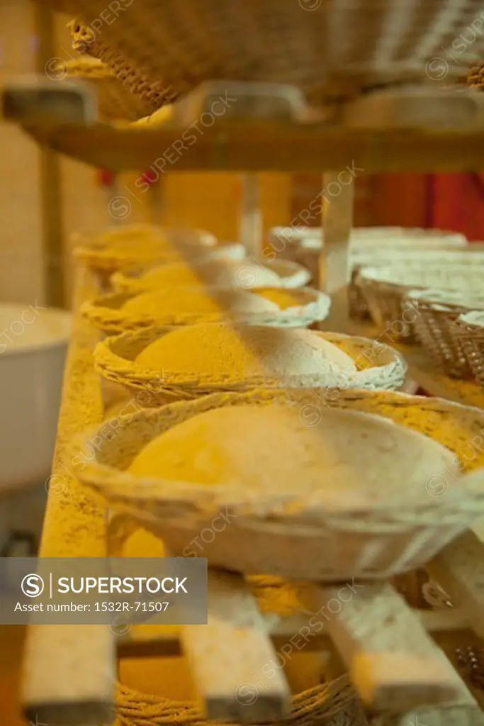 Baking baskets filled with bread dough on a set of shelves