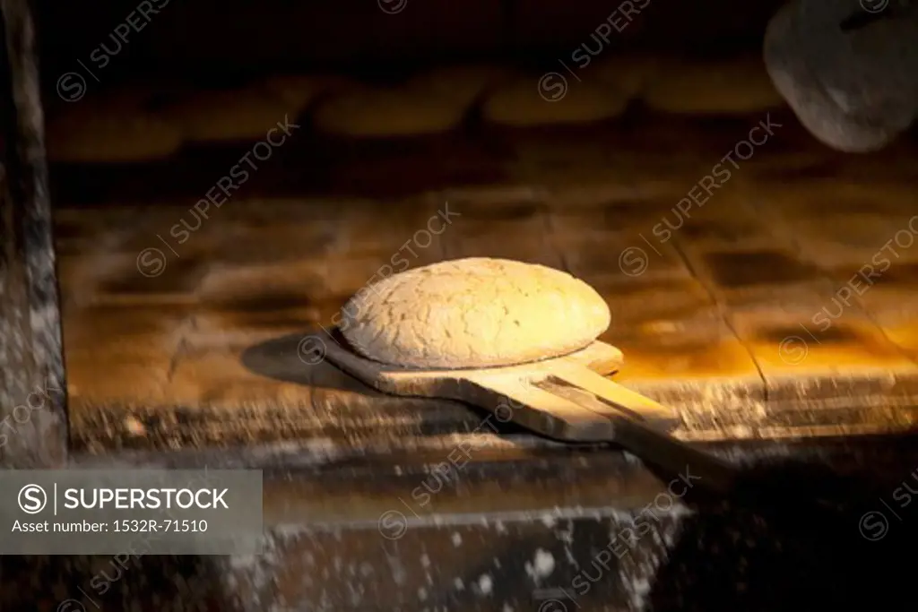 Unbaked bread on a wooden bread peel in the oven