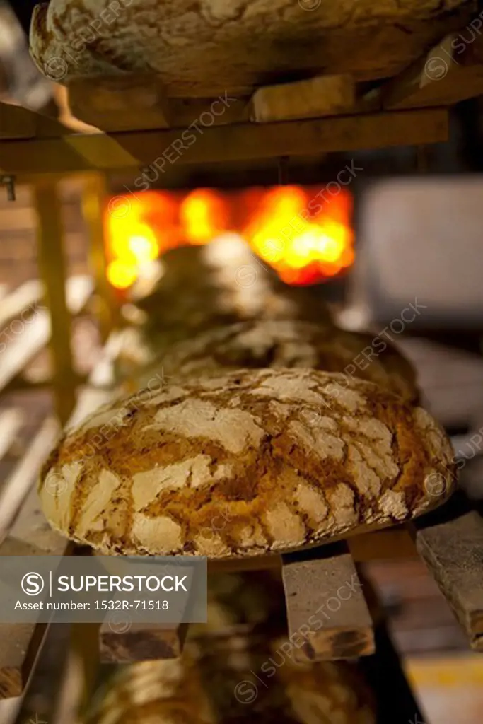 Freshly baked loaves on a shelf in front of the wood-fired oven at the bakery