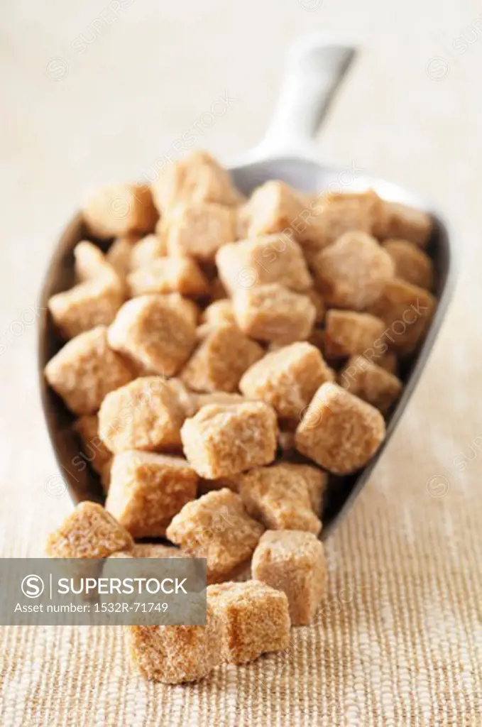 Cubes of raw sugar on a scoop
