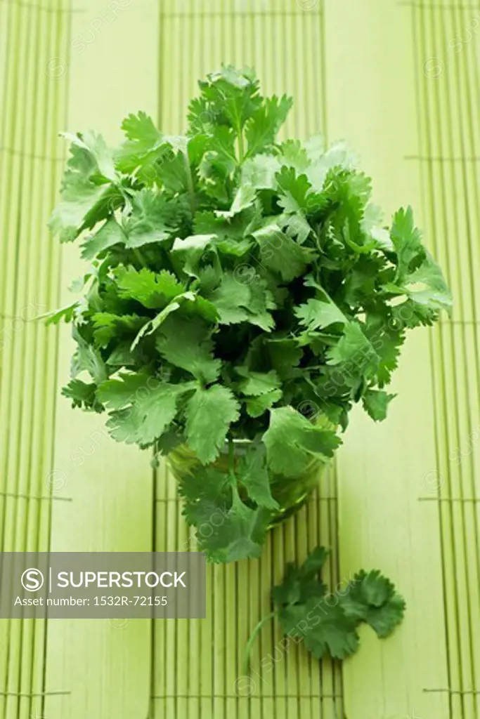 Fresh coriander in a glass of water