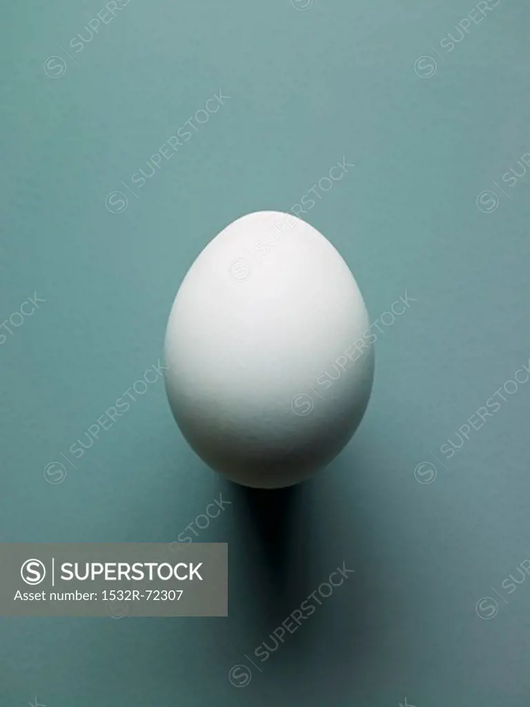 An egg from an Araucana hen