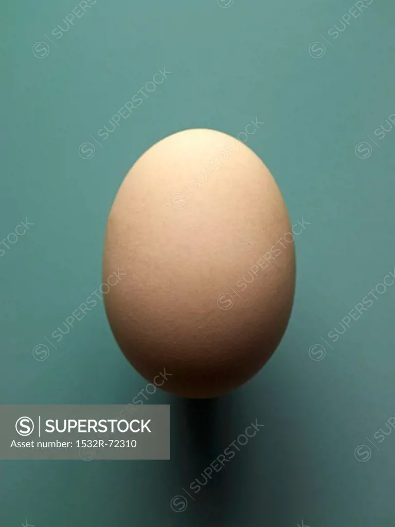 A brown hen's egg, size XXL