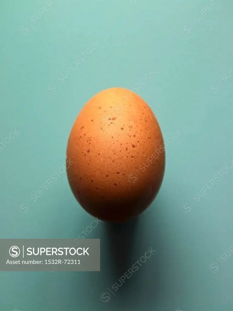 A brown egg from a Sulmtaler hen