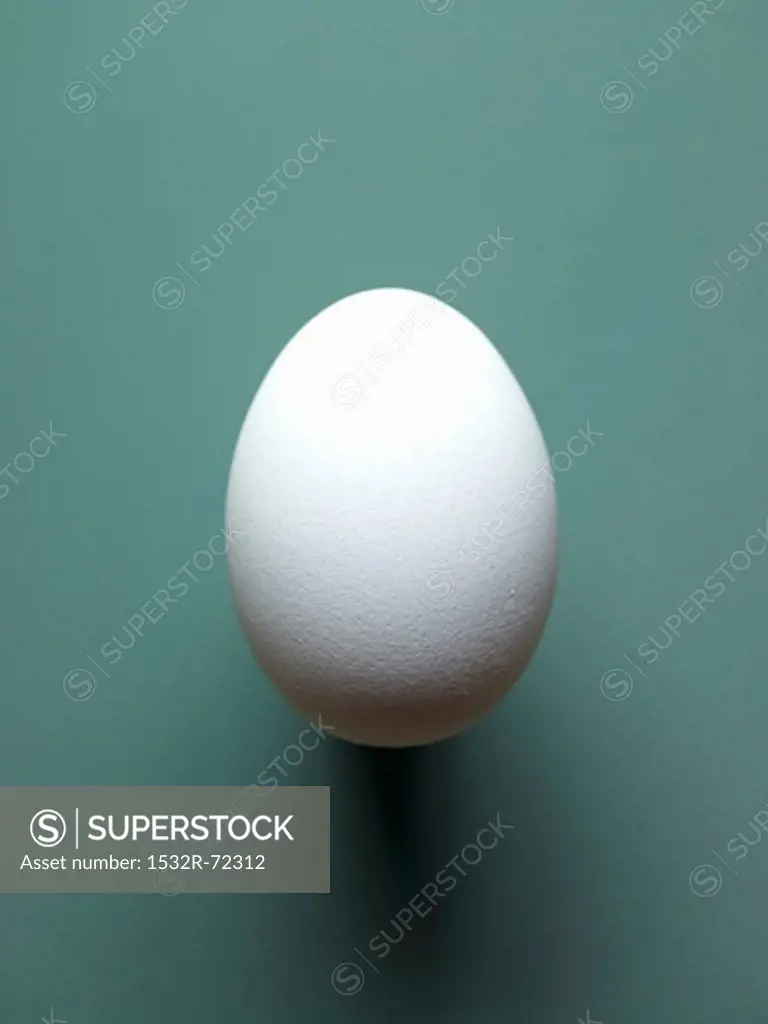 A white hen's egg
