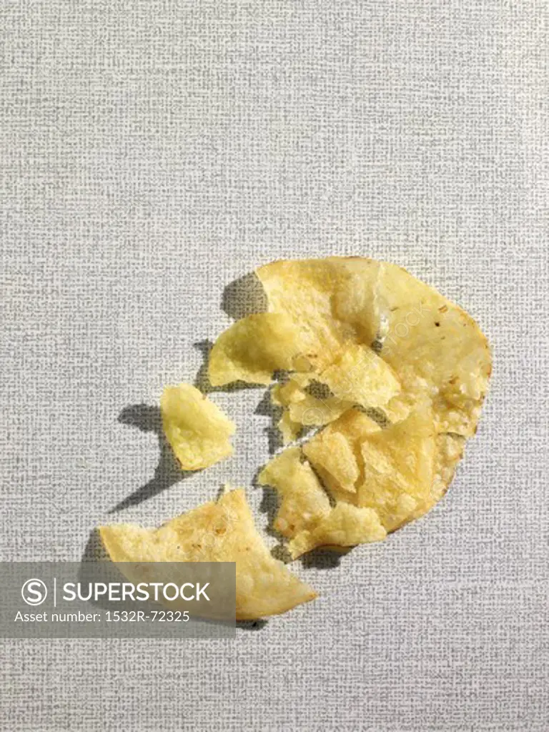 A crushed potato chip (view from above)