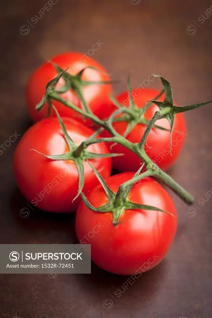 Four tomatoes on the vine
