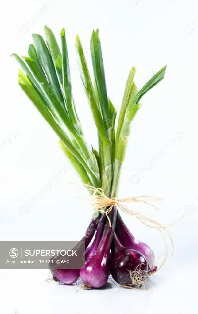 A bunch of red spring onions