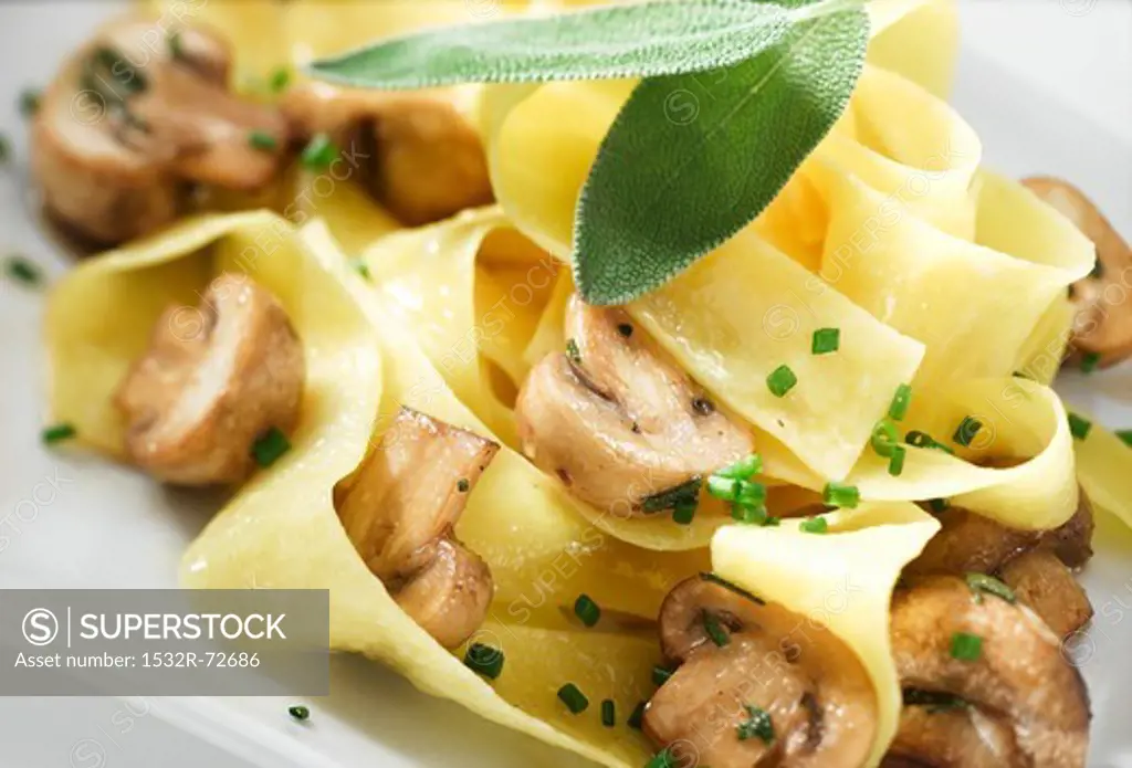 Ribbon pasta with mushrooms and sage
