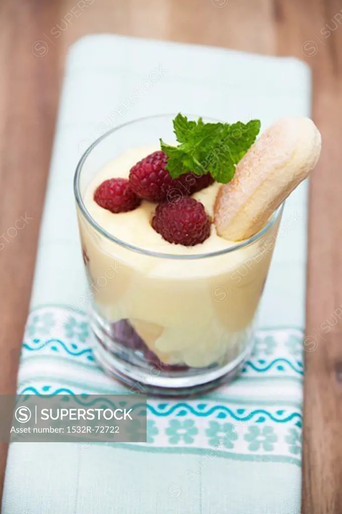Vanilla pudding with fresh raspberries and a sponge finger