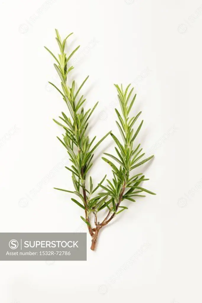 Rosemary on a white surface