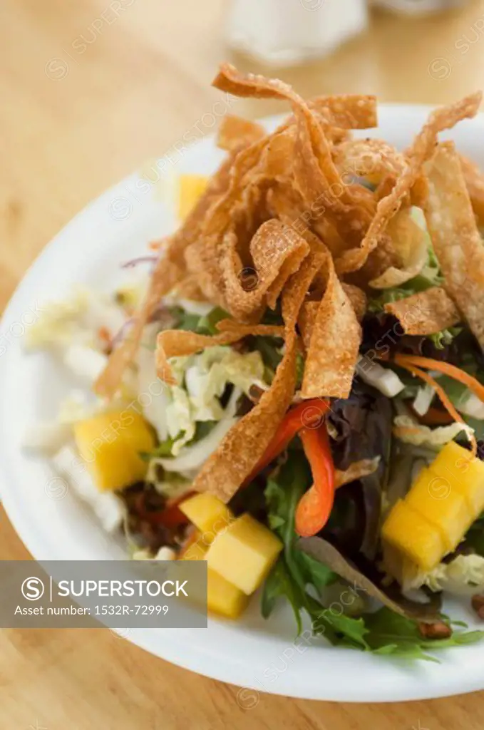 Mixed Salad with Mango and Fried Dough Strips, 5/16/2013