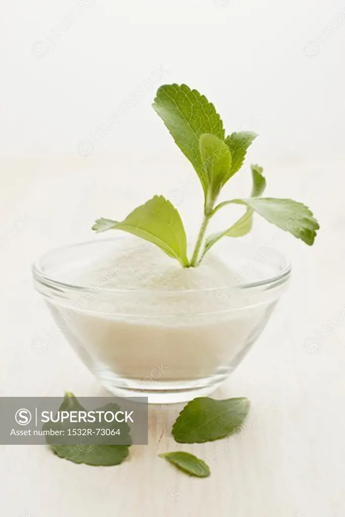 A stevia plant and powder, 7/5/2013