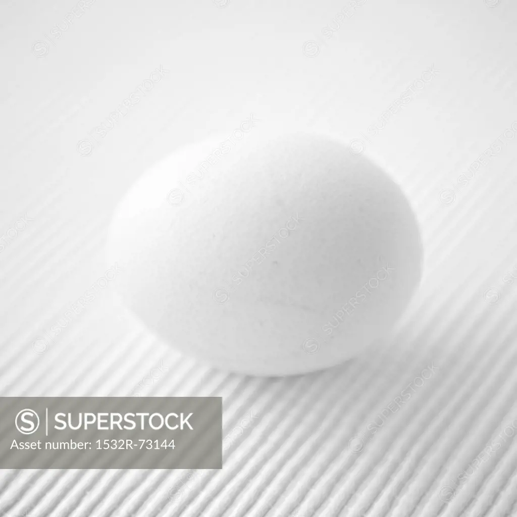 A white egg on a white textured background, 8/2/2013