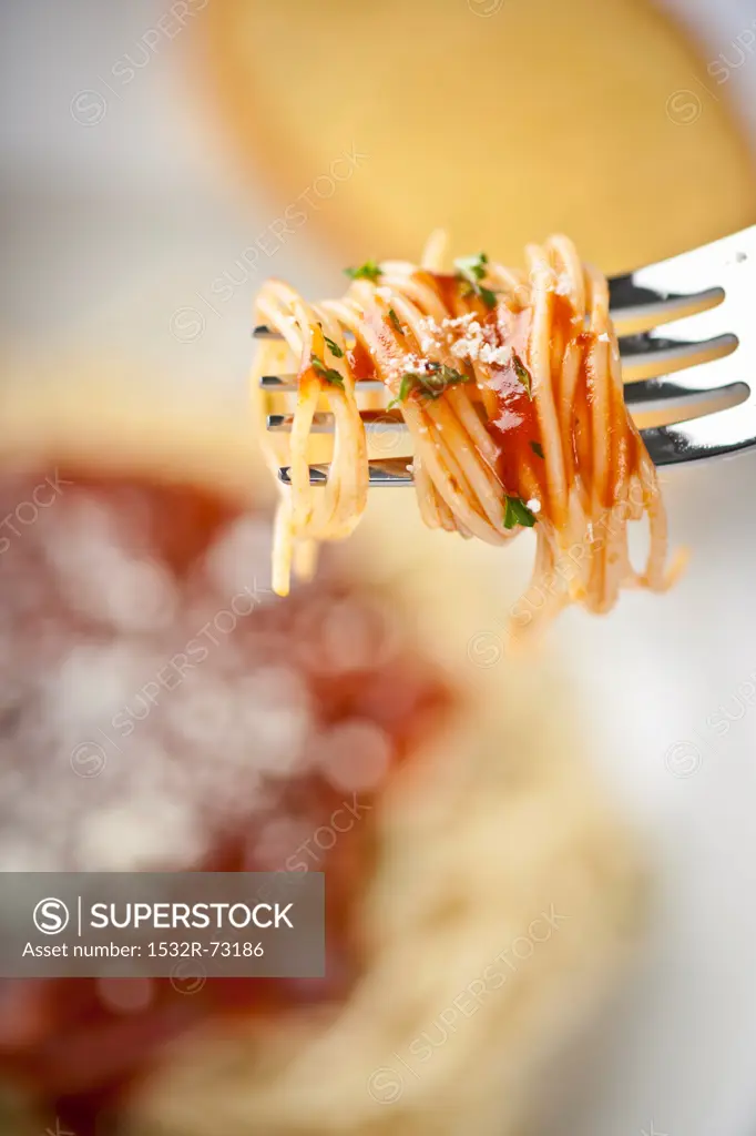 Spaghetti with Tomato Sauce Twirled on a Fork, 8/8/2013